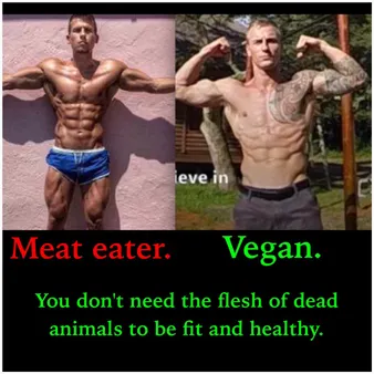 The Benefits of Vegan Calisthenics